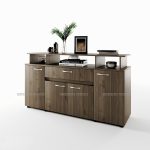 Многофункционален скрин Сити 3056 орех адмирал