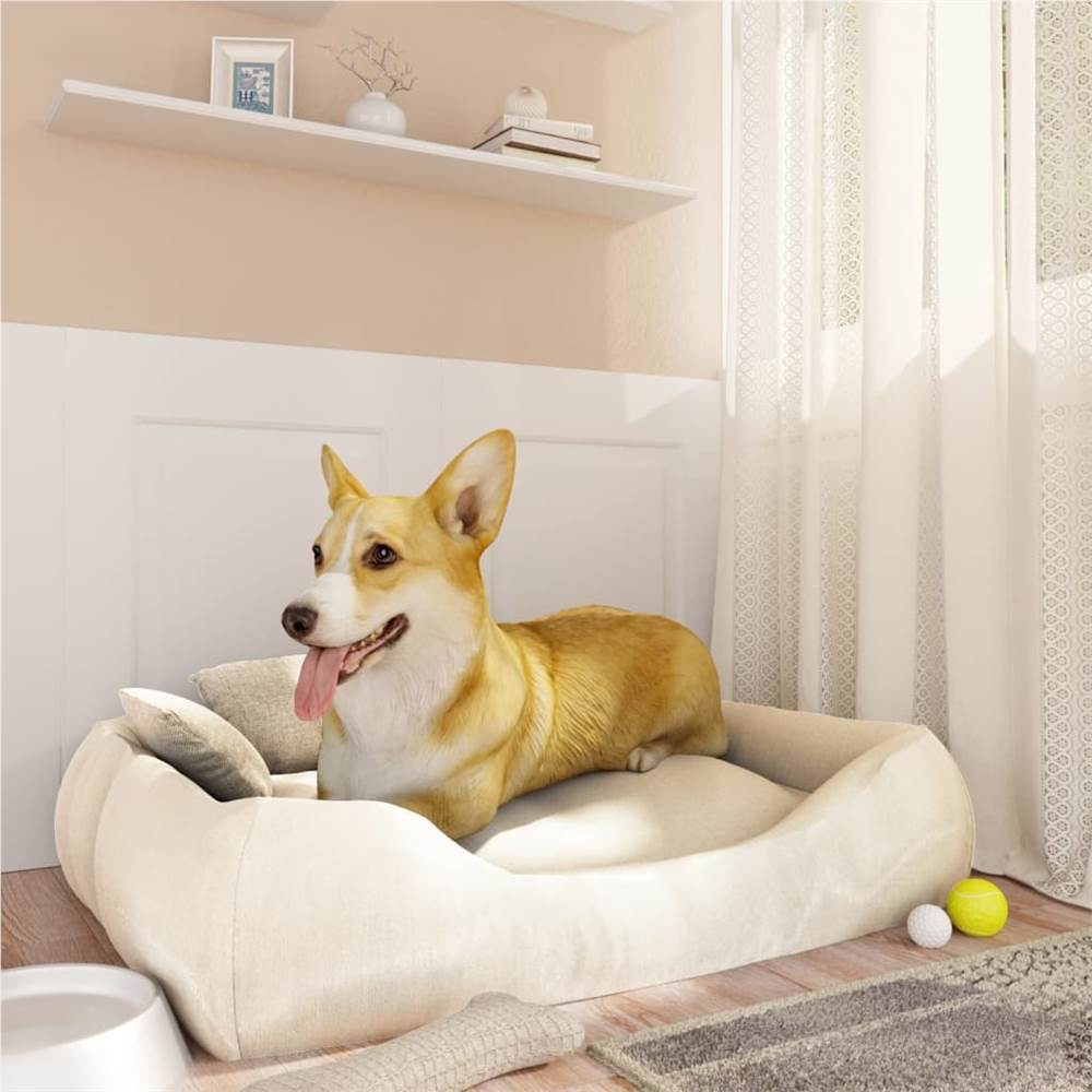 Как да изберете мебелите, ако имате домашни любимци?